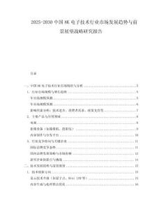 2025-2030中国8K电子技术行业市场发展趋势与前景展望战略研究报告