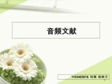 音频文件格式培训课件