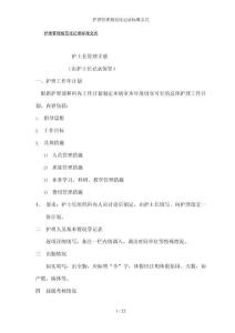 护理管理规范化记录标准文式