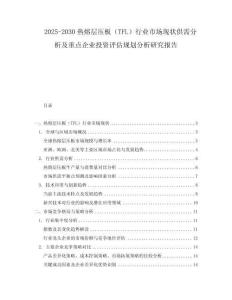 2025-2030热熔层压板（TFL）行业市场现状供需分析及重点企业投资评估规划分析研究报告