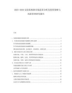2025-2030安防监视器市场前景分析及投资策略与风险管理研究报告
