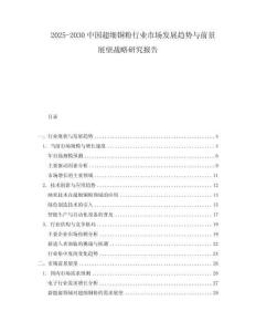 2025-2030中国超细铜粉行业市场发展趋势与前景展望战略研究报告