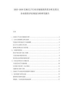 2025-2030长柄叉子行业市场现状供需分析及重点企业投资评估规划分析研究报告