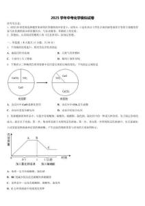 2025年河南省洛阳市东方二中学中考化学猜题卷含解析