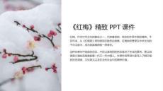 《紅梅》精致課件