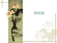 肺结核课件