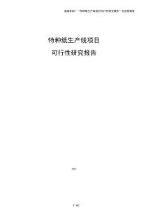 特种纸生产线项目可行性研究报告