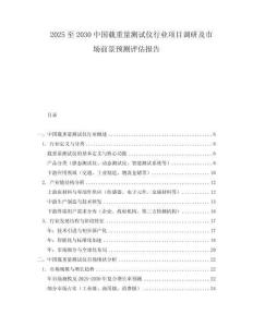 2025至2030中国载重量测试仪行业项目调研及市场前景预测评估报告