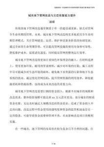 城市地下管网改造与灾后恢复能力提升