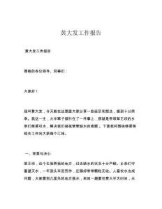 黄大发工作报告