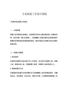 專案抓捕工作報告模板