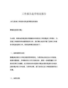 工作报告起草情况报告