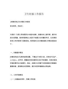 衛生村寨工作報告
