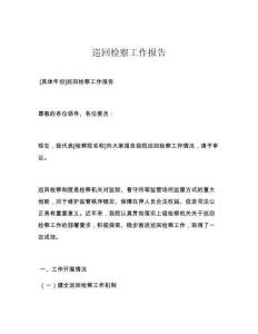 巡回檢察工作報告