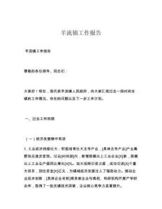 羊流镇工作报告