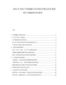 2025至2030中国液碱行业市场竞争格局及有效策略与实施路径评估报告