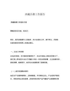 西藏昌都工作报告