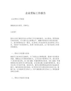 企業(yè)貫標工作報告