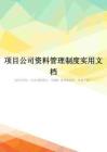 项目公司资料管理制度实用文档