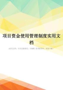 项目资金使用管理制度实用文档