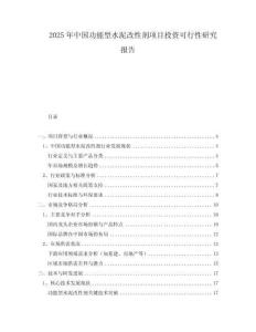 2025年中国功能型水泥改性剂项目投资可行性研究报告