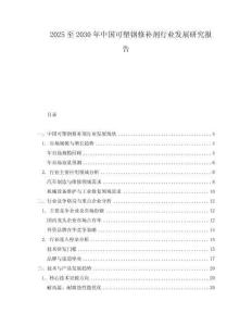2025至2030年中国可塑钢修补剂行业发展研究报告