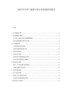 2025年中国三级滑石块行业发展研究报告