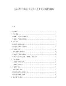 2025年中国床上垫子项目投资可行性研究报告