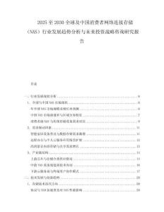 2025至2030全球及中国消费者网络连接存储（NAS）行业发展趋势分析与未来投资战略咨询研究报告