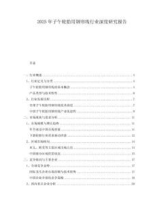 2025年子午轮胎用钢帘线行业深度研究报告