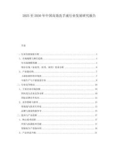 2025至2030年中国高效洗手液行业发展研究报告