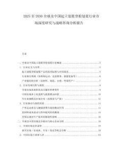 2025至2030全球及中国起立划桨登船划桨行业市场深度研究与战略咨询分析报告