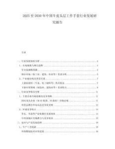 2025至2030年中国牛皮头层工作手套行业发展研究报告