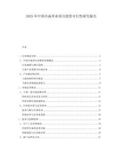 2025年中国合成革业项目投资可行性研究报告