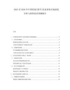 2025至2030年中国控制(调节)仪表系统市场深度分析与投资前景预测报告