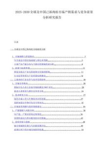 2025-2030全球及中国己基肉桂市场产销需求与竞争前景分析研究报告