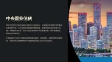 《中央置業(yè)信貸》課件