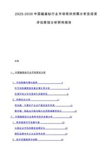 2025-2030中国磁座钻行业市场现状供需分析及投资评估规划分析研究报告