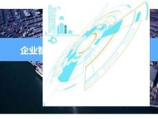 数字智慧方案3805丨企业自动化立体库WMS解决方案豪华版（42页PPT）