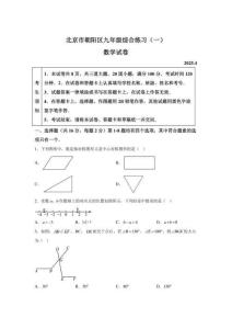2025年北京朝阳区初三一模中考数学试卷（含答案详解）