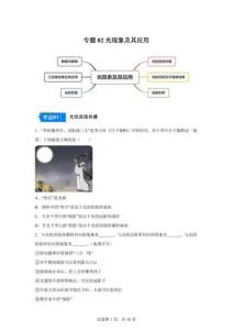 2025年山东中考物理一模试题分类汇编：光现象及其应用（含答案）