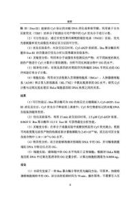 基于Bsu聚合酶介导的荧光编码超灵敏检测癌细胞端粒中的8--氧代--7，8--二氢鸟嘌呤