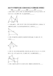 2025年中考数学总复习《图形的变化》专项测试卷（附答案）