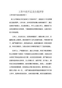 工作中的不足及自我評價