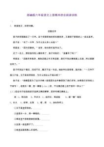 部编版语文小学六年级上册期末综合阅读训练试题