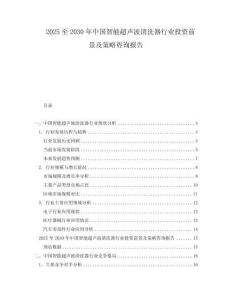 2025至2030年中国智能超声波清洗器行业投资前景及策略咨询报告