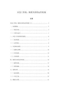 應(yīng)急工作組：剛?cè)岵倪\作機制