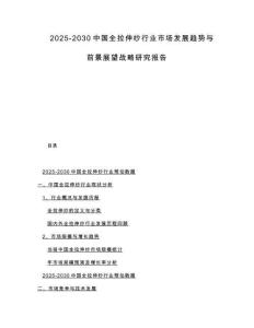 2025-2030中国全拉伸纱行业市场发展趋势与前景展望战略研究报告