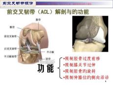 前交叉韧带损伤课件