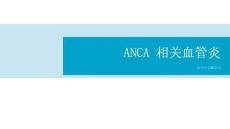 ANCA 相关血管炎